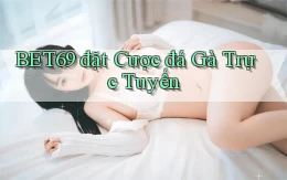 bet69  đặt cược đá gà trực tuyến