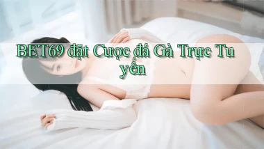 bet69  đặt cược đá gà trực tuyến