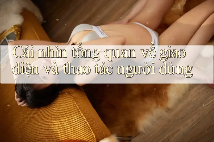 Cái nhìn tổng quan về giao diện và thao tác người dùng