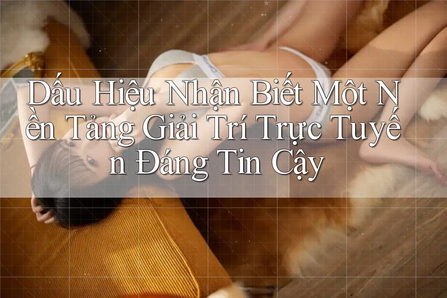Dấu Hiệu Nhận Biết Một Nền Tảng Giải Trí Trực Tuyến Đáng Tin Cậy Dấu Hiệu Nhận Biết Một Nền Tảng Giải Trí Trực Tuyến Đáng Tin Cậy