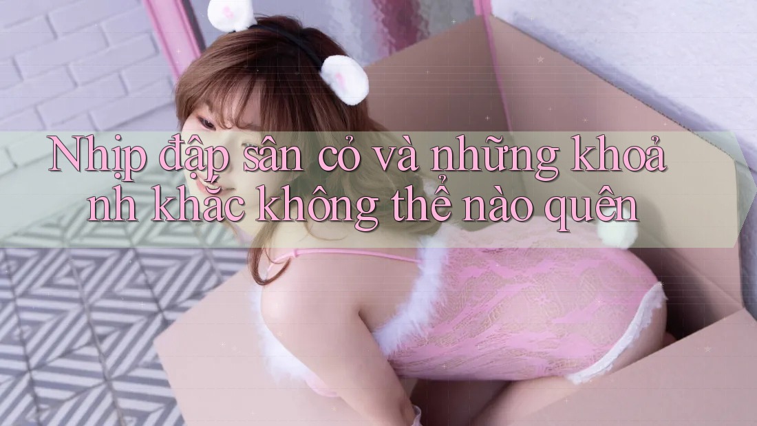 Nhịp đập sân cỏ và những khoảnh khắc không thể nào quên Nhịp đập sân cỏ và những khoảnh khắc không thể nào quên