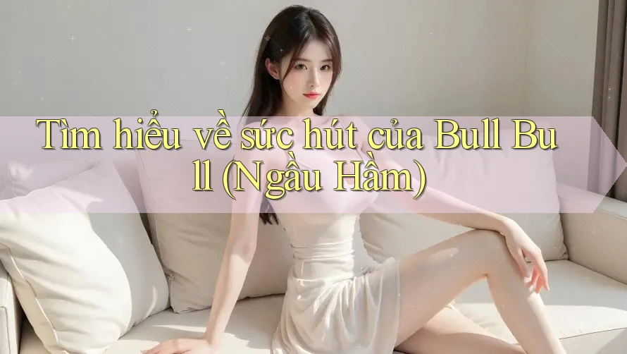 Tìm hiểu về sức hút của Bull Bull (Ngầu Hầm) Tìm hiểu về sức hút của Bull Bull (Ngầu Hầm)
